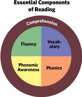 Reading Components Chart